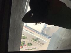 -加拿大国家电视塔
