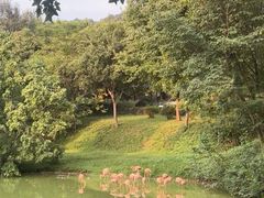 -合肥野生动物园