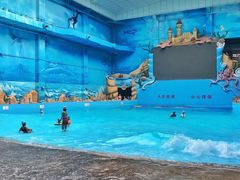 -盘锦红海温泉乐园