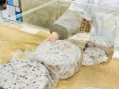 -杨招娣糕点(装驾桥巷店)
