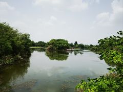 -白鹭湾湿地公园
