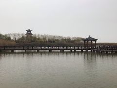 -南大港湿地风景区
