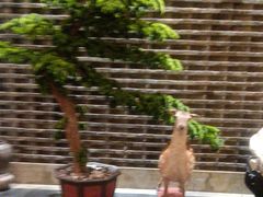 -健眺小海鲜(临海后山店)