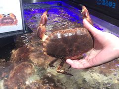 -盒马鲜生(岭南新世界店)