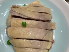 -新吉士·上海菜(浦东LCM置汇旭辉店)