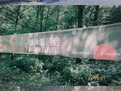 -南宁良凤江国家森林公园