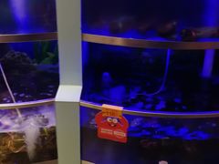 -七欣天(上海淮海路新尚广场店)