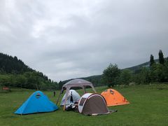 -武陵山森林公园