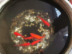 -到家尝北京菜(西坝河店)