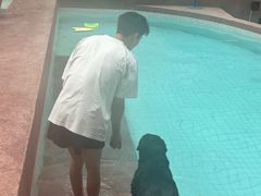 -帕帕拉兹宠物(亚洲旗舰店)