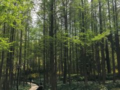 -黄兴公园