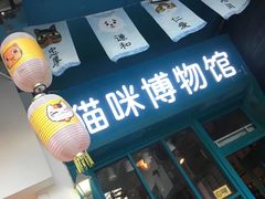 -猫咪博物馆(顶澳仔猫街店)