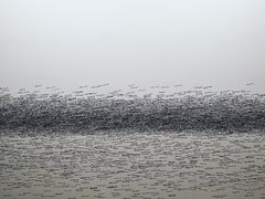 -大馆(前中区警署建築群)