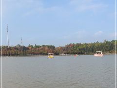 -上海海湾国家森林公园