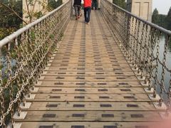 东湖落雁景区-东湖落雁景区