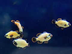 -沈阳海洋探索中心