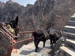 -鸡鸣山旅游景区