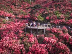 -木兰云雾山
