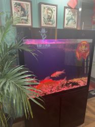 -尚逸男士理发馆·专注男发