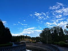 -大槐树寻根祭祖园