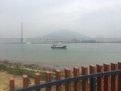 -芒洲湿地公园