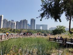 -五缘湾湿地公园