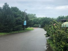 -奥林匹克森林公园北园-停车场