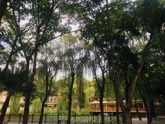 -巴山一绝烤全羊(三圣乡刘家花园店)