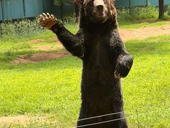 -秦皇岛野生动物园