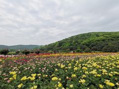 -龙寺生态园
