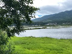 -腾冲北海湿地