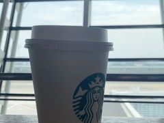 -上海机场-城市航站楼