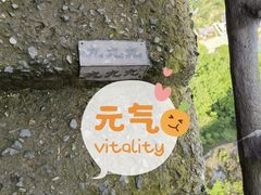 -十九峰景区