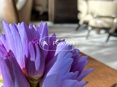 -沁蝶 Butterfly Patisserie甜品蛋糕(北京瑰丽酒店)