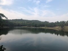 -南京市无想山景区