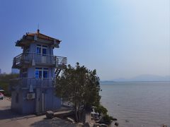 -福田红树林生态公园