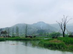 -东钱湖旅游度假区