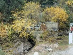 -芦芽山旅游度假区