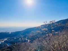 -香山公园