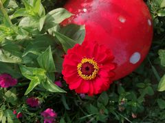 -羊亭河湿地公园