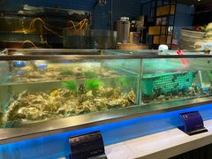 -V-ONE西雅图海鲜自助餐厅(仓山万达广场店)