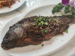 -高玛纳驴肉火烧(河间总店)