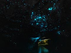 -怀托摩萤火虫洞