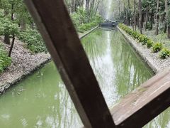 -合肥滨湖国家森林公园