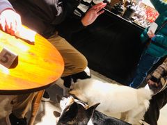 -自由生长植物工作室(深港花卉中心店)