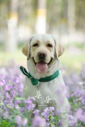 -奇文堂专业纹身馆