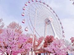 -东湖生态旅游风景区