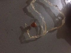 iphone_upload_pic-小无锡面馆