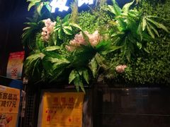 -夜郎蛙(汉街店)