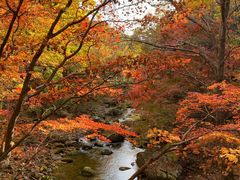 -本溪老边沟风景区